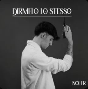 Copertina di DIRMELO LO STESSO